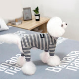 Striped Dog Winter Clothes