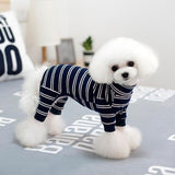 Striped Dog Winter Clothes
