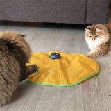 Electronic Cat Toy