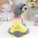 Dog Four Legs Jeans