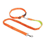 Nylon Running Pet Dog Leash