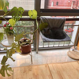 Steel Frame Structure Cat hammocks