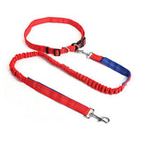 Nylon Running Pet Dog Leash