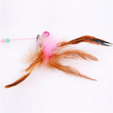 Assorted Feather Cat Toy Frisbee Cat Feather Toy Funny Cat Stick