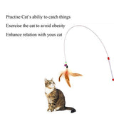 Assorted Feather Cat Toy Frisbee Cat Feather Toy Funny Cat Stick