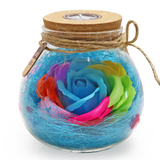 Rose Light Bottle
