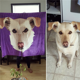 Custom Pet Fleece Blanket