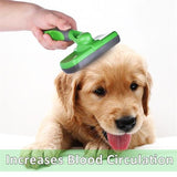 Dog Slicker Brush