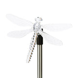 Multi-Color Changing Solar Powered Lights-Lights-Prime4Choice.com-Prime4Choice.com