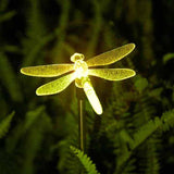 Multi-Color Changing Solar Powered Lights-Lights-Prime4Choice.com-1 Dragonfly-Prime4Choice.com